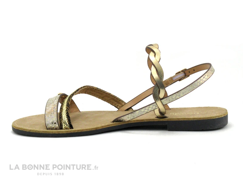 Dees Shoes MALDAD Or - Sandale Plagette Femme 2 Dees Shoes MALDAD Or - Sandale Plagette Femme – Image 2